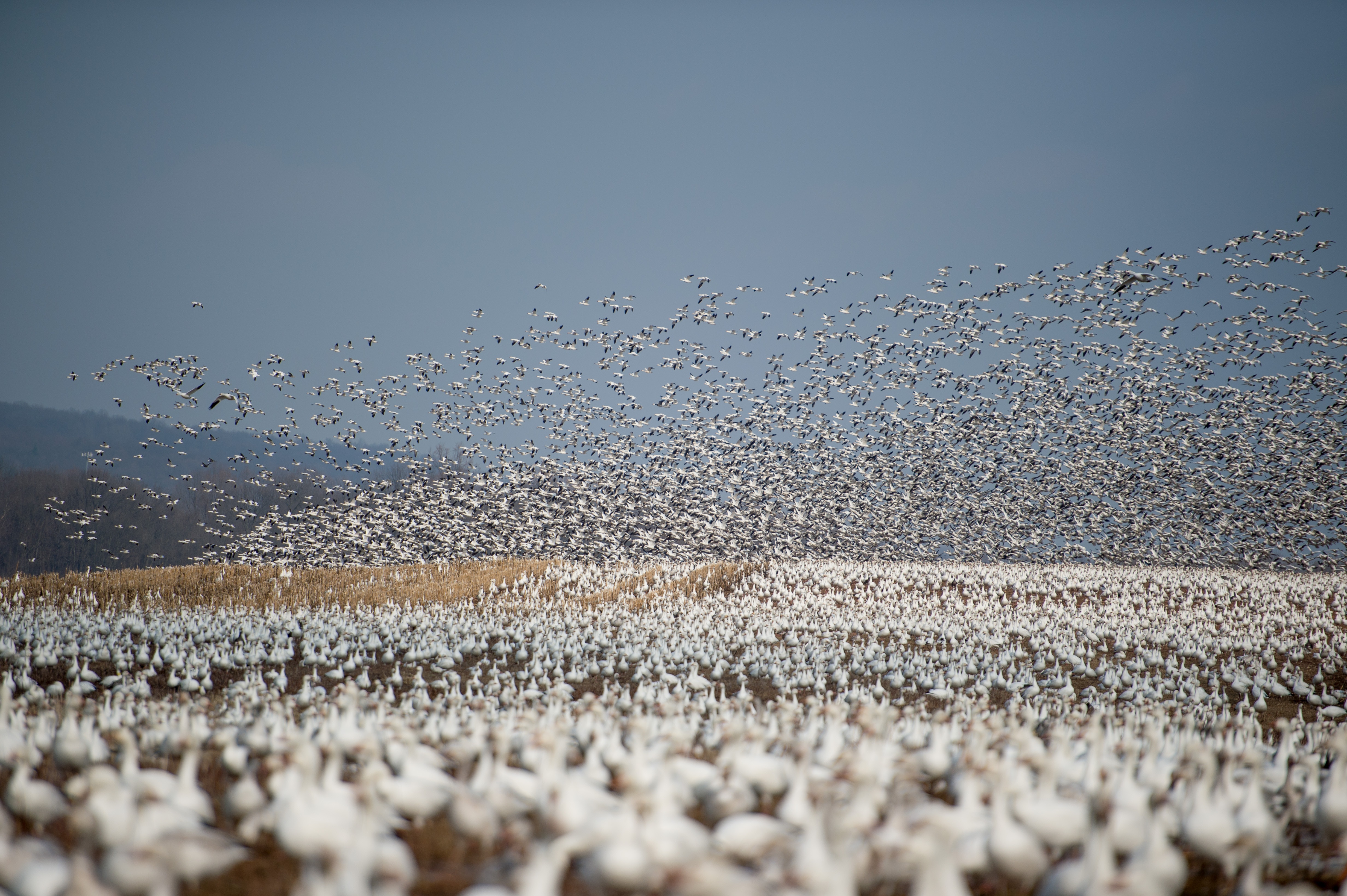 Migration to Ghost